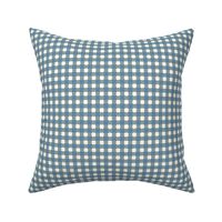 Gingham Light Blue 