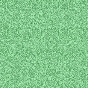 pebbled_Green-ash_A0DAA9_mint