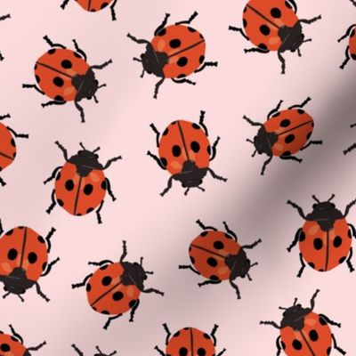Little Ladybugs | Md on Pink