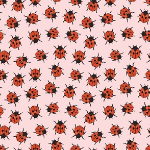 Little Ladybugs | Md on Pink