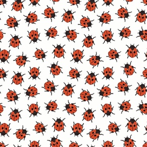 Little Ladybugs | Md White