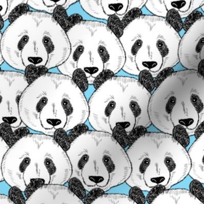 Many cute panda faces