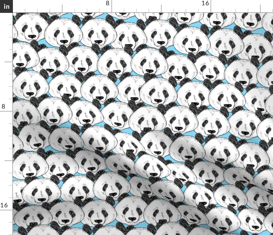 Many cute panda faces