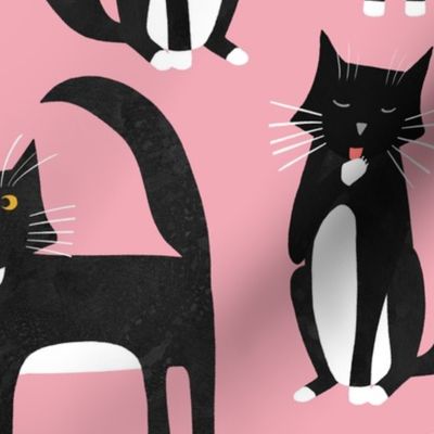Black and White Tuxedo Cats Blush Pink Jumbo