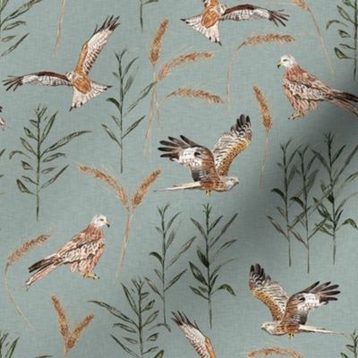 Hand Painted Red Kite Birds With Grass Textured Blue Medium