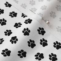 Dog Paw Prints on White