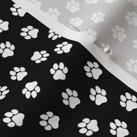 Dog Paw Prints on Black