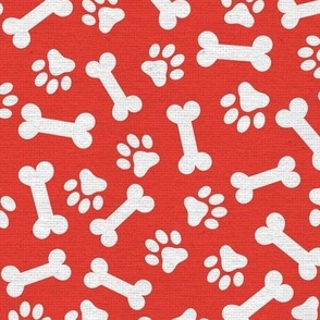 Dog Bone and Paw Pattern Orange and White-01