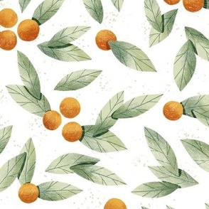 Cute Oranges and Green Leaves