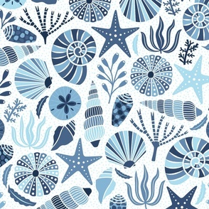 Blue Shells on White Background Large