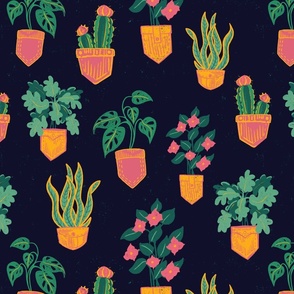 Pocket Plants