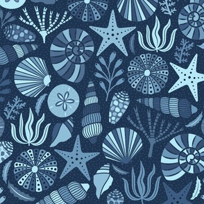 Shells on Navy Large