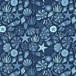 Shells on Navy Small