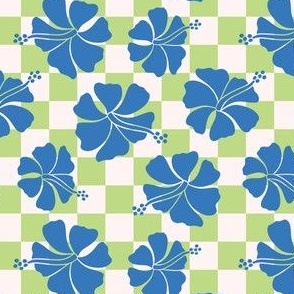 Boy Summer Blue Floral Checkerboard