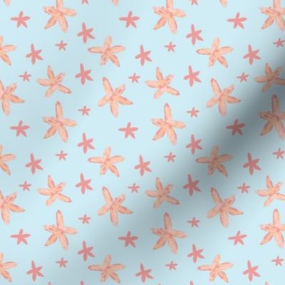Starfish - mini