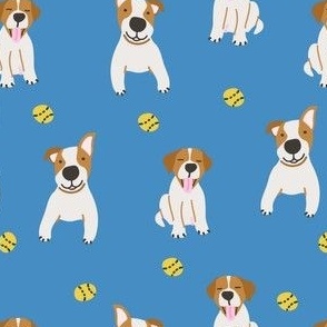 Jack russell dogs with balls on blue