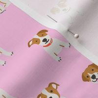 Jack russell dog on pink