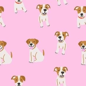 Jack russell dog on pink