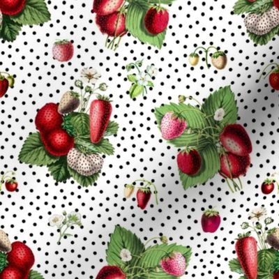 Strawberries and black dots on white ground