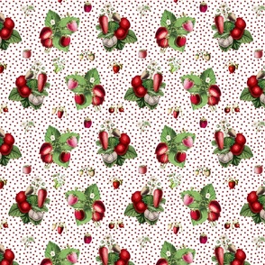 Strawberries and dark red dots on white ground