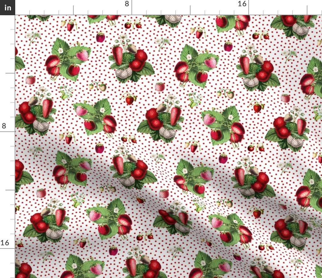 Strawberries and dark red dots on white ground