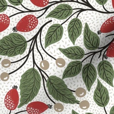 Bright red rose hip and olive green leaves - Christmas berry -textured white background L scale