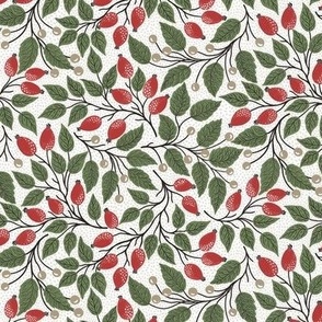 Bright red rose hip and olive green leaves - Christmas berry -textured white background S scale