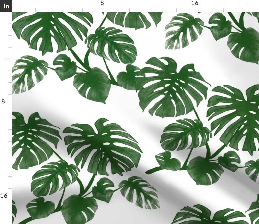 Monstera deliciosa green M scale