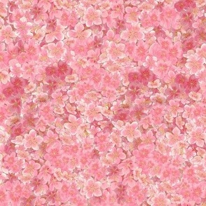 Sakura japanese cherry blossoms  in shades of pink - medium scale