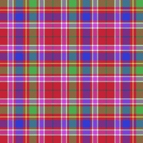 Haughdale tartan, 6" bright colors