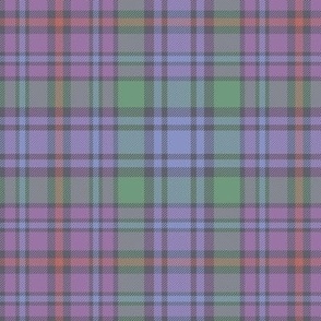 Braid tartan, 6" faded