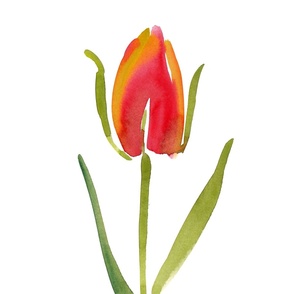 cestlaviv_tulip_no2_LARGE