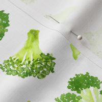 watercolor broccoli toss - life sized