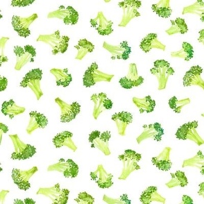 small watercolor broccoli toss