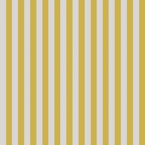 gold grey stripe 
