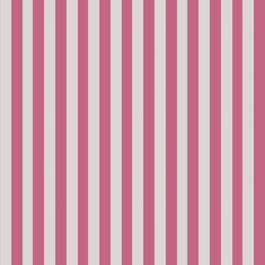 raspberry grey stripe 