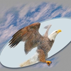 11x9-Inch Repeat of Trompe-l’Oeil Eagle Flying Free with Taupe Gray Background