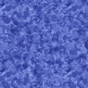 Shades of Iris Blue Pansies Botanical Texture
