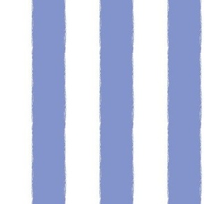 Hamptons-Wide Stripe-China Blue