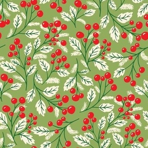 Evergreen Holly Berries-light  green