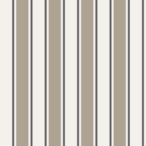 Vertical Stripes Plaza taupe 