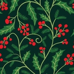 Evergreen Holly Berries Branches dark green