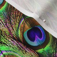 Peacock Feathers Invasion - Wave