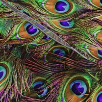 Peacock Feathers Invasion - Wave