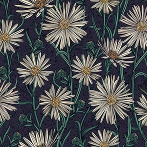 Aster flowers on Dark Blue