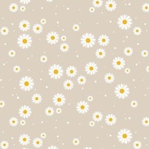 Scattered white dasies on beige