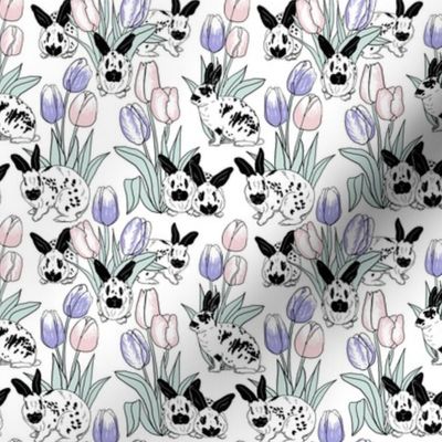 Rabbits and tulips on white 4x4
