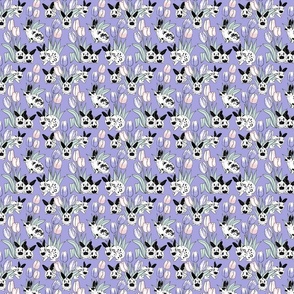 Rabbits and tulips on lilac 4x4