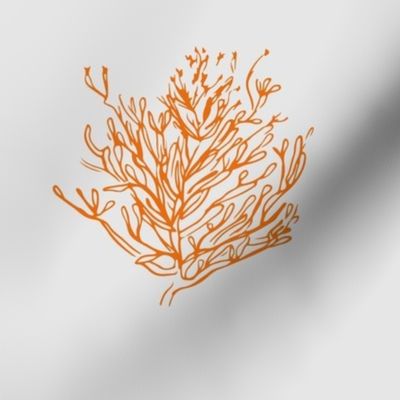 Pencil Cactus (Perseverance) orange on light gray