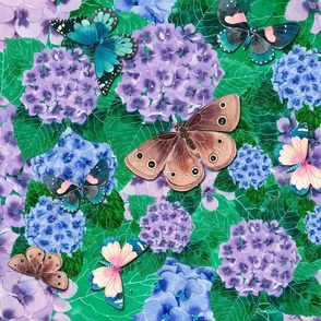 Hydrangeas and butterflies_halfsize